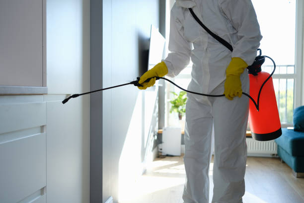 Why You Should Choose Our Mold Remediation Services in Effort, PA